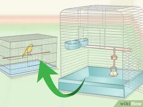 Image titled Clean and Maintain a Canary Habitat Step 5
