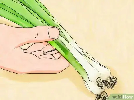 Image titled Grow Green Onions Step 7