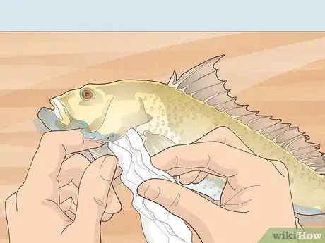 Image titled Do Gyotaku Fish Rubbing Step 4