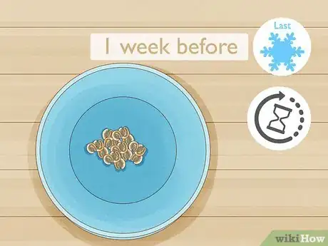 Image titled Propagate Hollyhocks Step 14