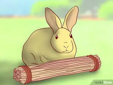 Image titled Have a Rabbit Friendly Garden Step 11