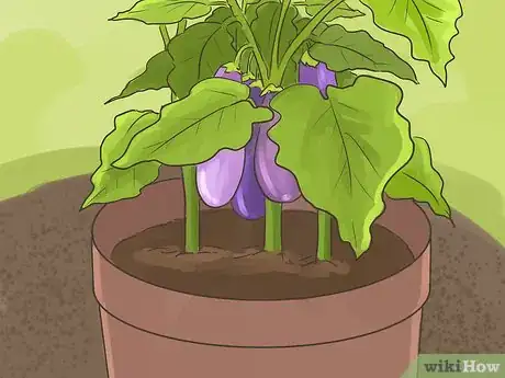 Image titled Make a Small Vegetable Garden Step 9