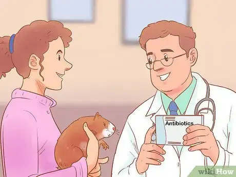 Image titled Neuter Your Guinea Pig Step 16