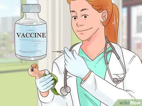 Image titled Treat Polyomavirus in Caique Parrots Step 8