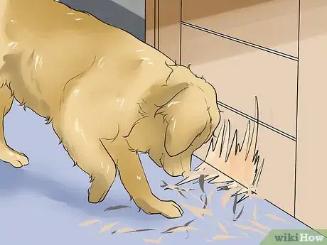 Image titled End Dog Separation Anxiety With Desensitization Step 10