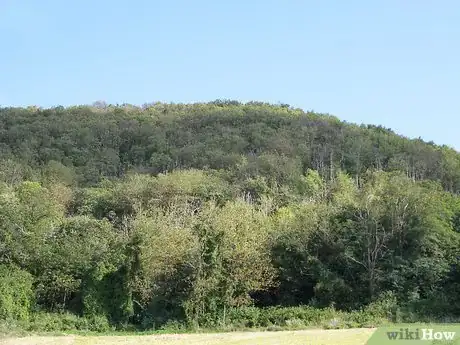 Image titled Buy Fruit Trees Step 7