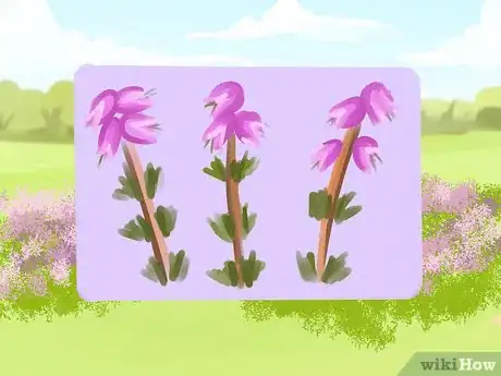 Image titled Plant a Deer‐Resistant Garden Step 6