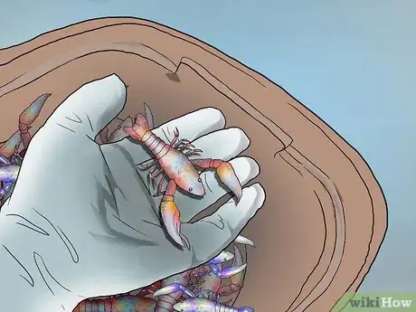 Image titled Set Up a Freshwater Crayfish Farm Step 17