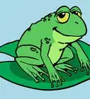Draw a Cartoon Frog
