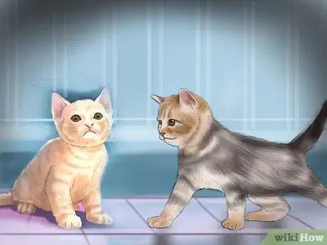 Image titled Keep Your Pet Occupied when You Are Not at Home Step 8