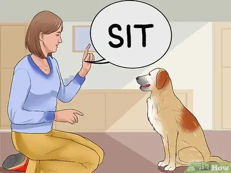 Image titled Encourage Your New Dog to Listen to You Step 2