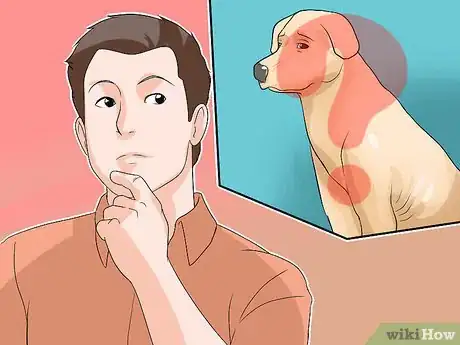 Image titled Diagnose Canine Coronavirus Step 6