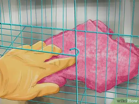 Image titled Prevent Infections in Parakeets Step 11