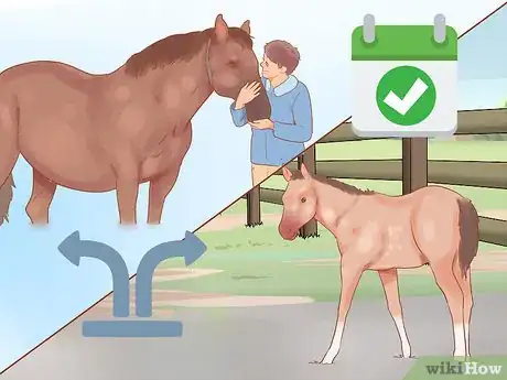 Image titled Wean a Foal Step 16