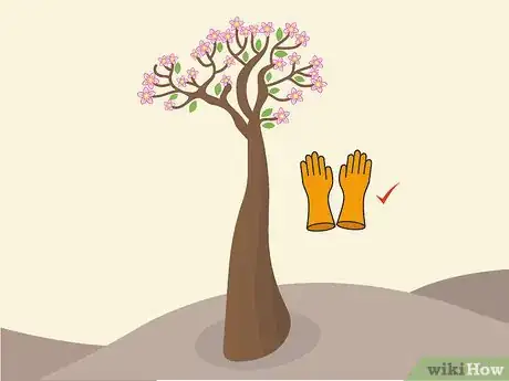 Image titled Prune Desert Rose Step 02