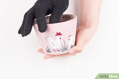 Image titled Pot a Spiny Cactus Without Getting Pricked Step 3