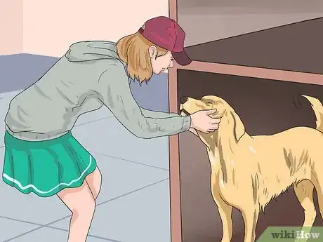 Image titled Find and Adopt a Healthy and Happy Shelter Dog Step 12