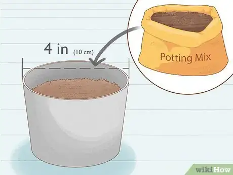 Image titled Grow Royal Gorilla Step 6