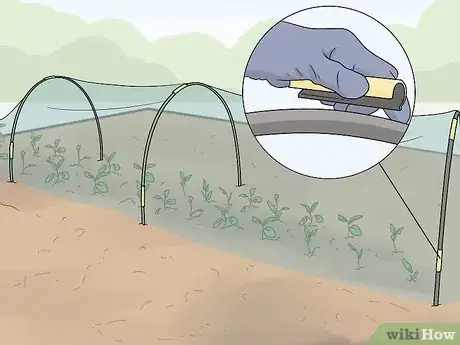 Image titled Use Horticultural Fleece Step 7