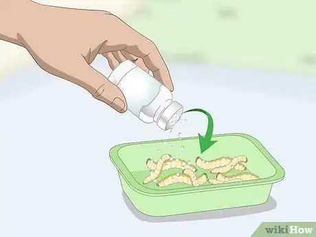 Image titled Treat Diarrhea in Button Quail Step 8