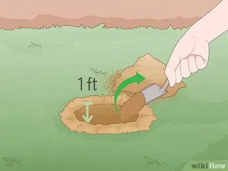 Image titled Grow Boxwood Shrubs Step 11