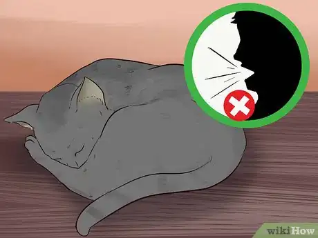 Image titled Stop a Fearful Cat from Biting Step 9