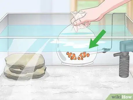 Image titled Set up a Small Reef Aquarium Step 11