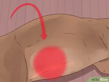 Image titled Treat Heart Conditions in Doberman Pinschers Step 9