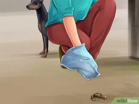 Image titled Train a Manchester Terrier Step 16