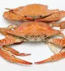 Cook a Crab