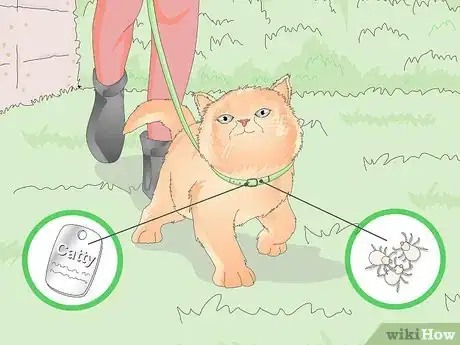 Image titled Buy a Collar for Your Cat Step 1