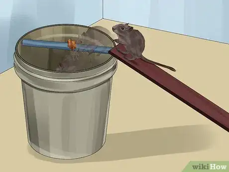 Image titled Catch a Gerbil on the Loose Step 14