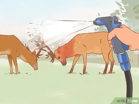 Image titled Break Up a Deer Fight Step 5