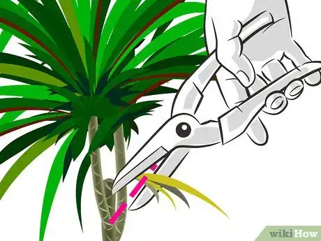Image titled Prune Dracaena Step 06