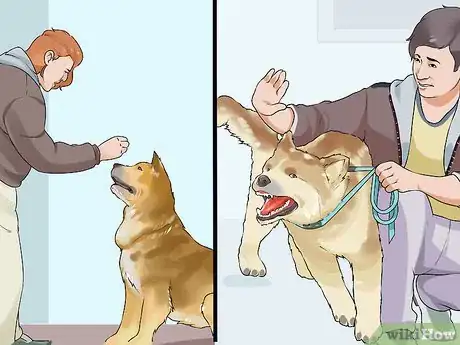 Image titled Introduce Your New Dog to the Neighbors Step 13