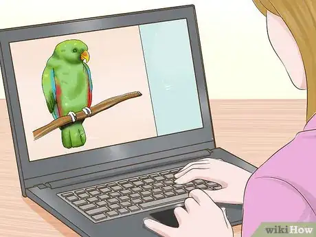 Image titled Take Care of Your Pet Step 10