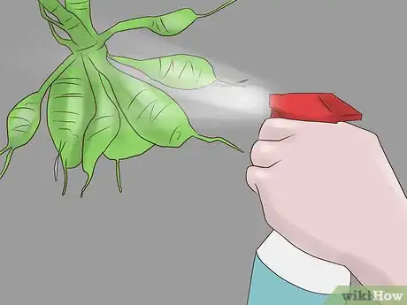 Image titled Overwinter Dahlias Step 6