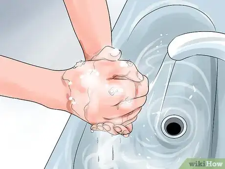 Image titled Catch a Fly With Your Hands Step 12