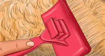 Groom a Goldendoodle