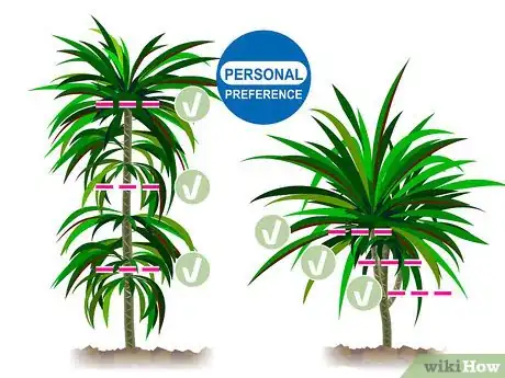 Image titled Prune Dracaena Step 11