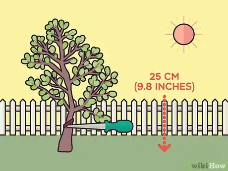 Image titled Harvest Rubber Step 12