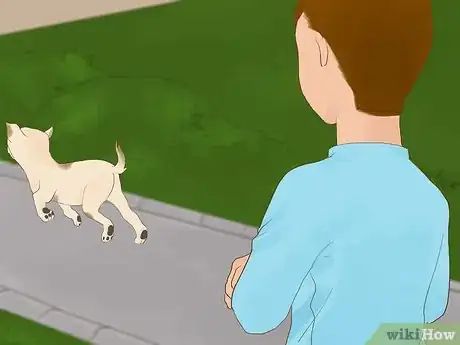 Image titled Catch Your Dog when They Run After Another Dog or Person Step 1