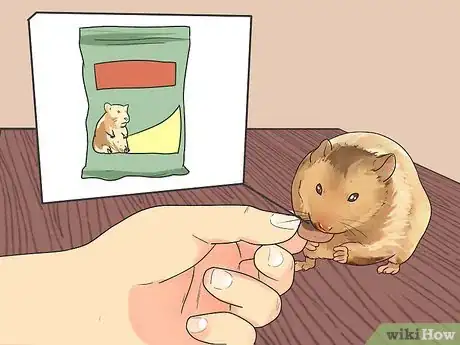 Image titled Feed Dwarf Hamsters Step 1