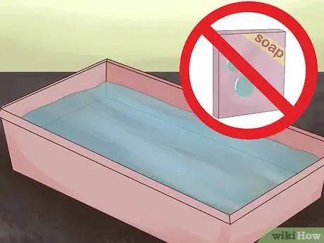 Image titled Bathe a Russian Tortoise Step 3