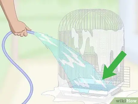 Image titled Treat Infections in Hawk Headed Parrots Step 14