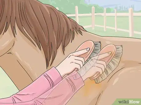 Image titled Clean a Horse Step 5
