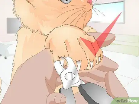 Image titled Keep a Cat Healthy Step 16