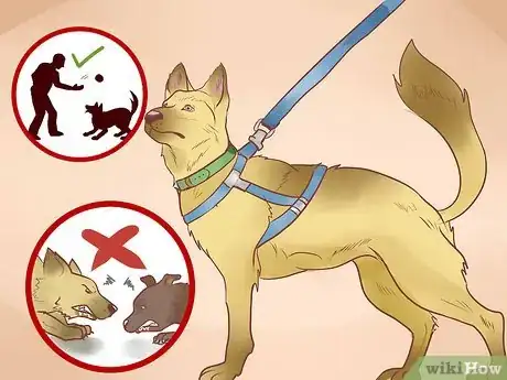 Image titled Find a Good Guard Dog Step 13