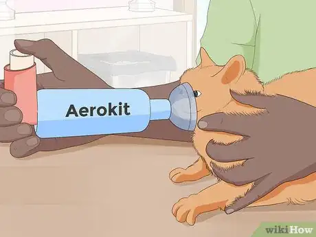 Image titled Treat a Cat With Asthma Step 7