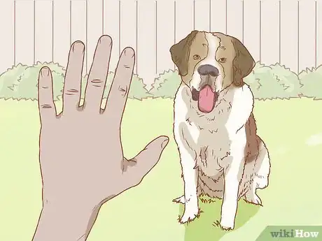 Image titled Use a Pager Collar Step 8